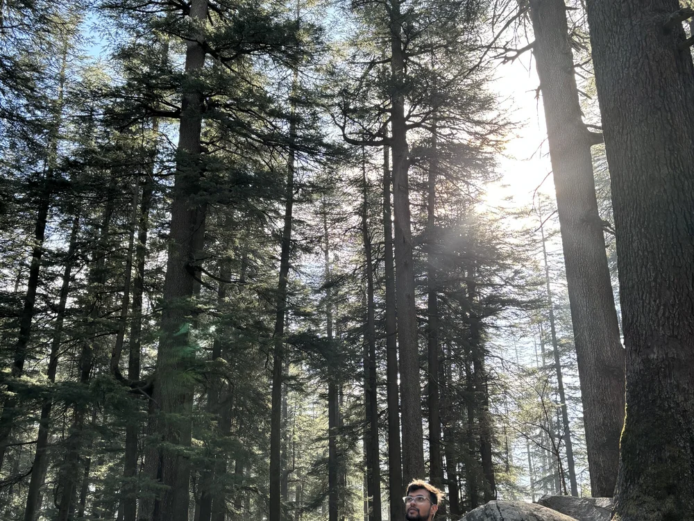 nightlife__12's Offline XXX Chat