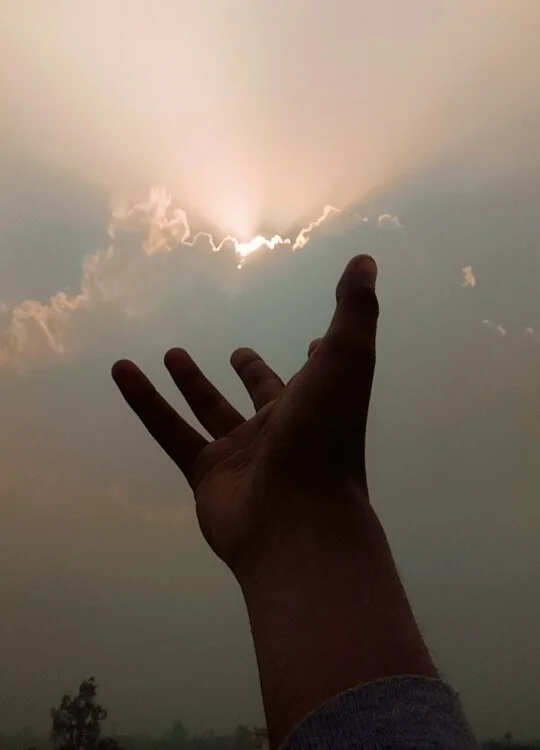 Bottom_user cam model