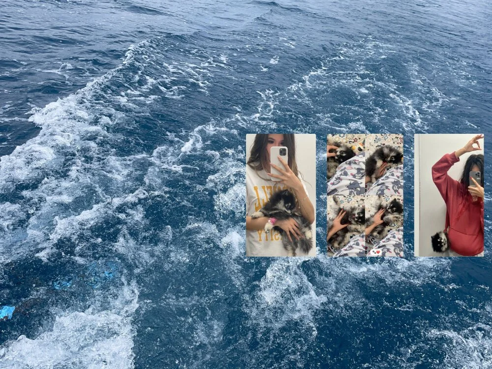 infinityconstellation Obrolan XXX Offline