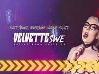 Модель VelvetteSWE