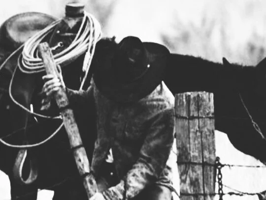 Mr_Belico Offline XXX-Chat