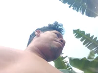 Ho66