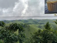 Anuu02 webcam