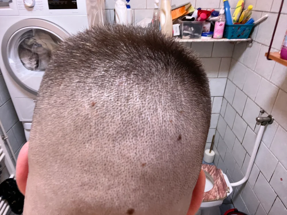 Chat +18 off-line de xxlfa