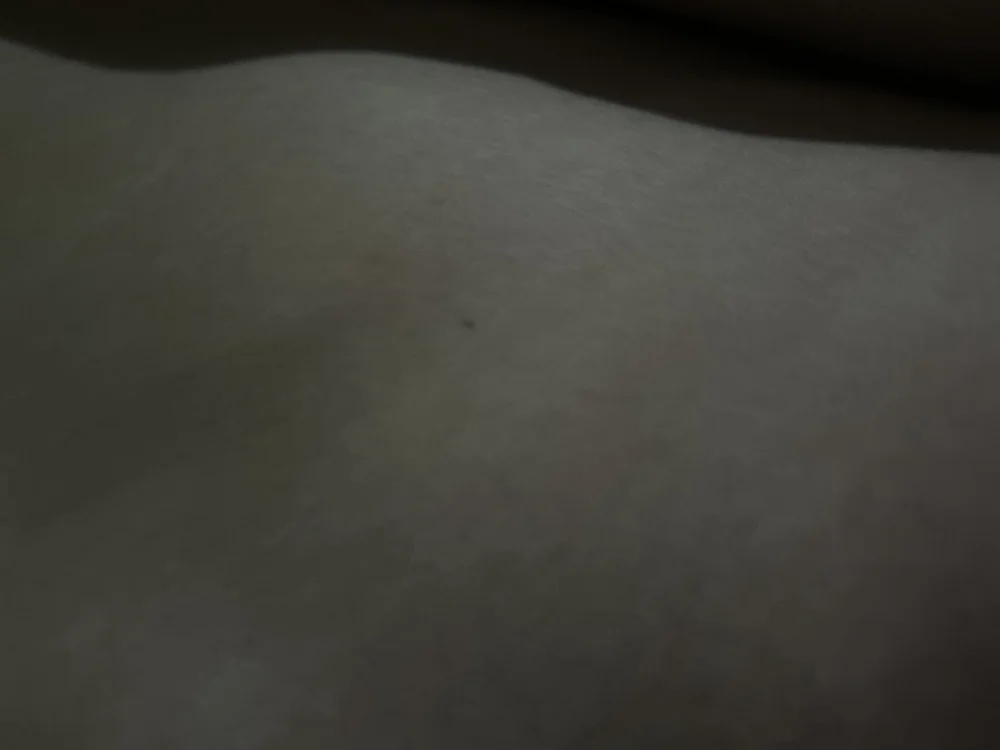 Jcmoneytt's Offline XXX Chat