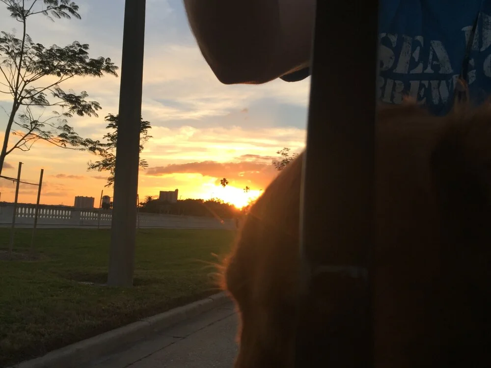 BonerKickstand's Offline XXX Chat