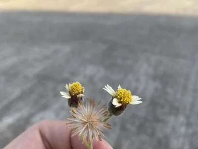 wildpussycat69 profile