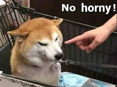 QwertyAnna_Lbo profile