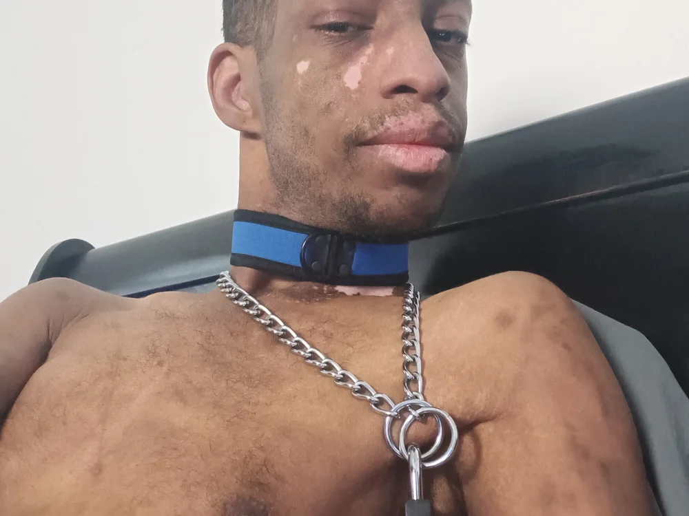 PupAngel's Offline Chat Room