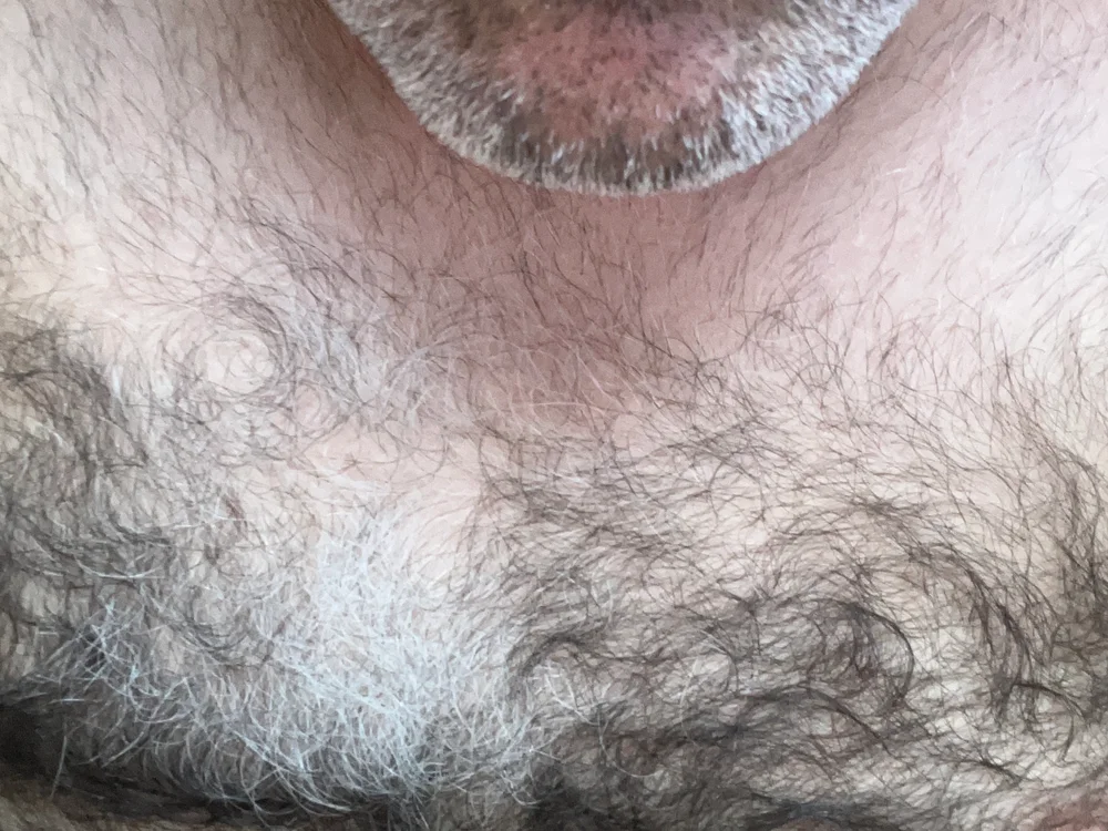 midog2026 오프라인 XXX 채팅