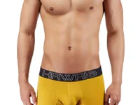 Модель Gujju_Chokaro