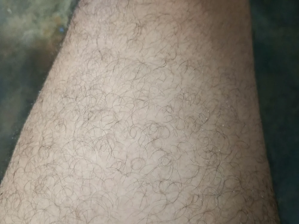 alexrodriguezx4 অফলাইন চ্যাট রুম
