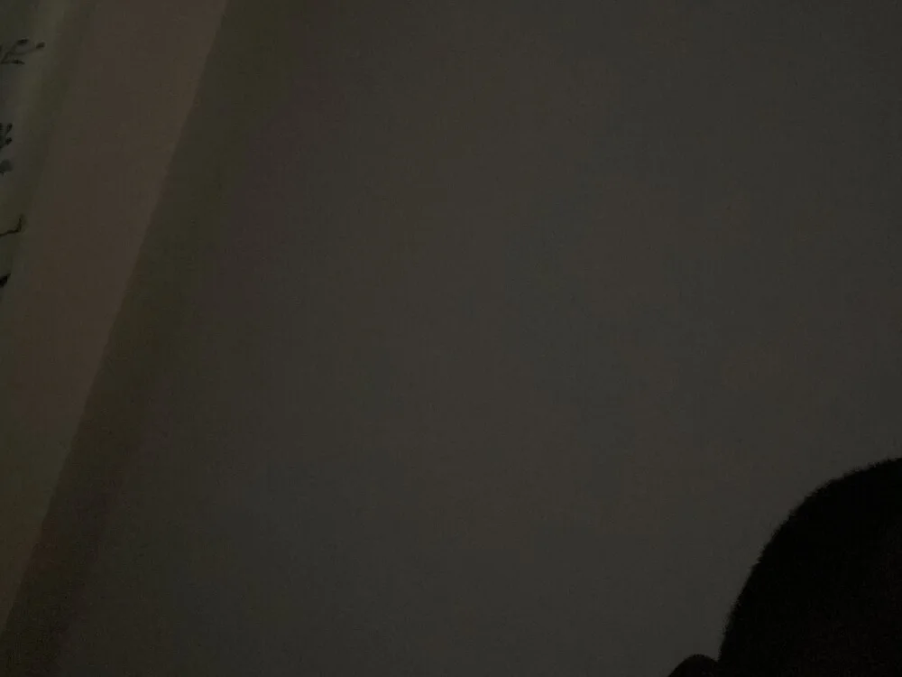 new_fucker__ offline XXX-chat