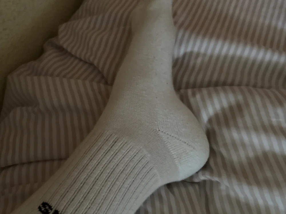 annnnn555 offline XXX-chat