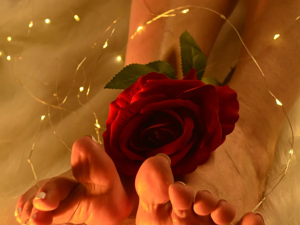 DaliaHart Adlı Modelin Çevrimdışı XXX Sohbeti