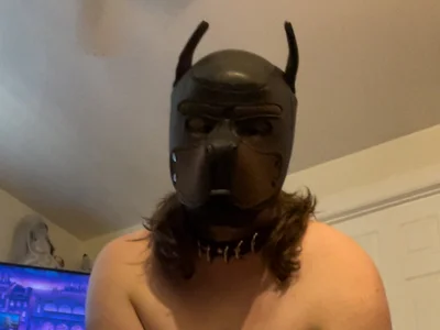 Dogboybruisebaitt Male Spanking Online Cam XXX