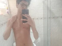 Модель brocklow