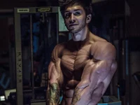 Модель MichaelWills