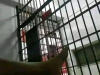 Alagoano12 live cam profile - MySuperHot