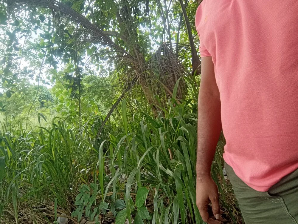 MACpk3397: συνομιλία ΧΧΧ εκτός σύνδεσης