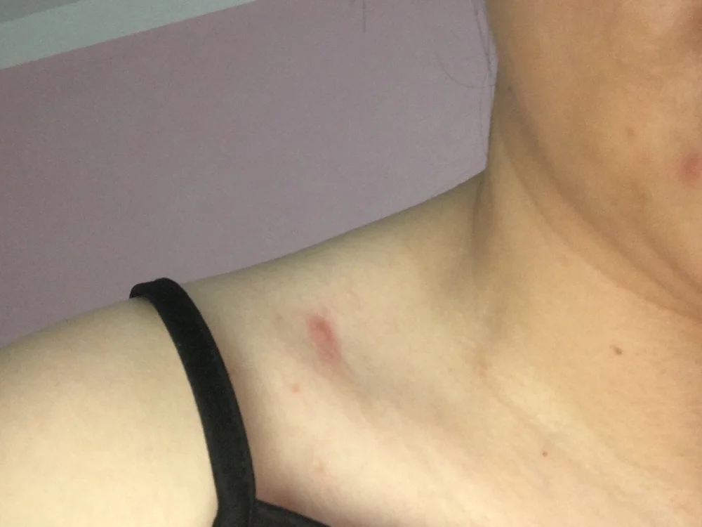 Npchi Chat XXX offline