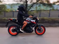 Jordylatino