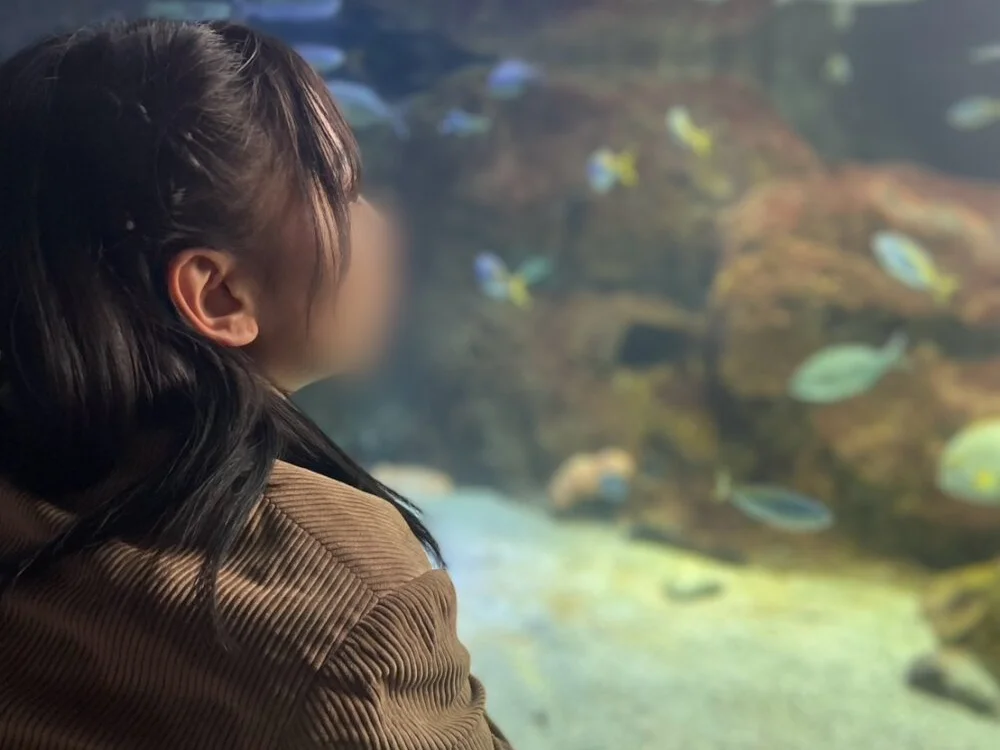 _Non_non_'s Offline XXX Chat