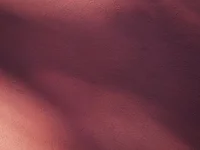 amin-67363's webcam live show