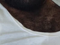 Модель vichuhot