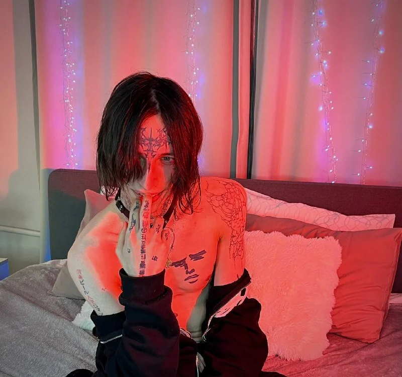 2kitty 오프라인 XXX 채팅