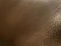 bonnygoodtimes