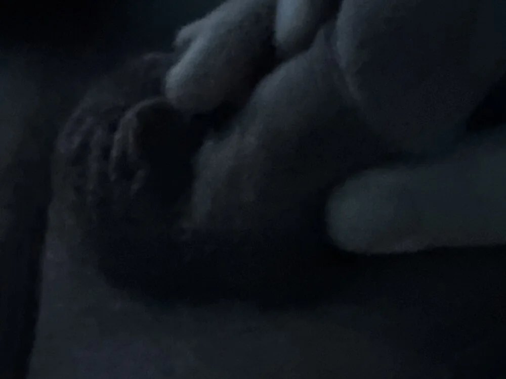 harke_11n Offline XXX chat