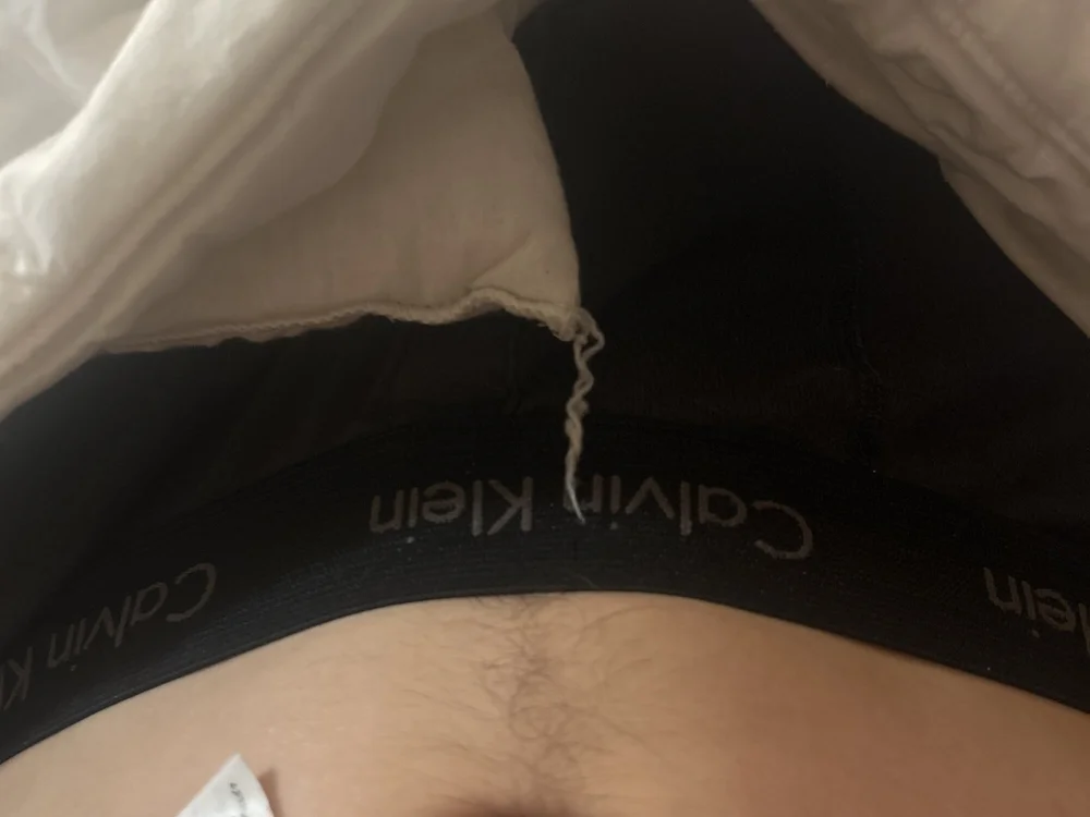 littledog17 offline chatrum