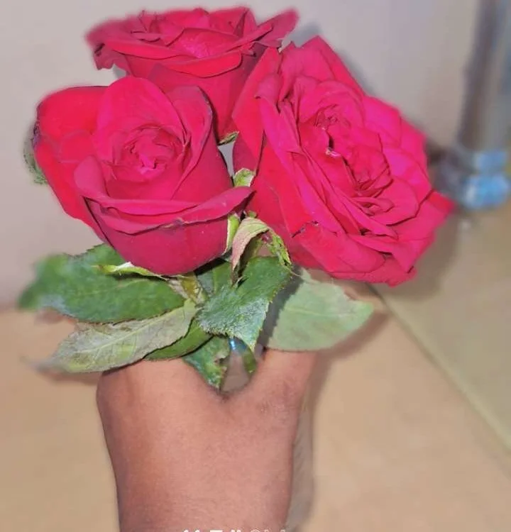 telugupilla0925's Offline XXX Chat