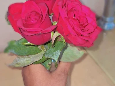 telugupilla0925 profile