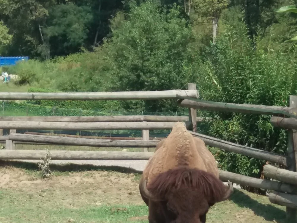 Chat XXX offline de 74bob