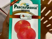 rameshSWETHAtelugu 🍧 nude cam