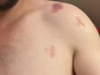Модель LAZ3R1