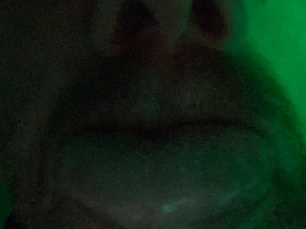 Офлайн-чат XXX HornyMatureWomenAdorer
