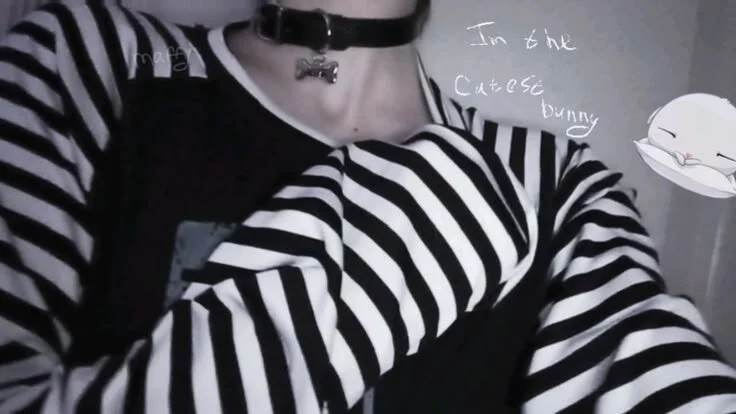 Maxfemboy cover photo