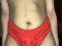 Model ZippyMalay