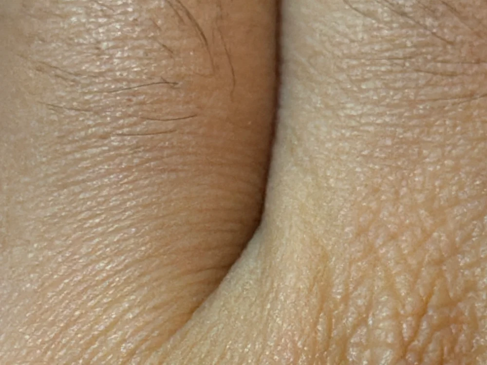hormanshoe Chat XXX Ngoại tuyến