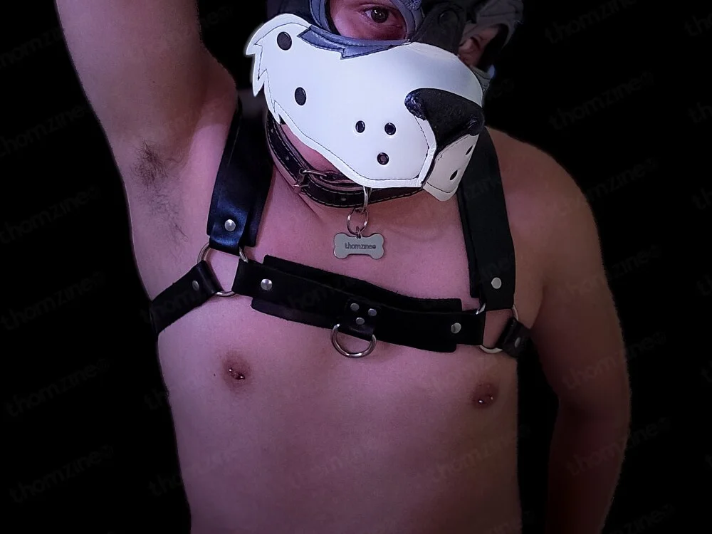 thomzineo Chat XXX Ngoại tuyến