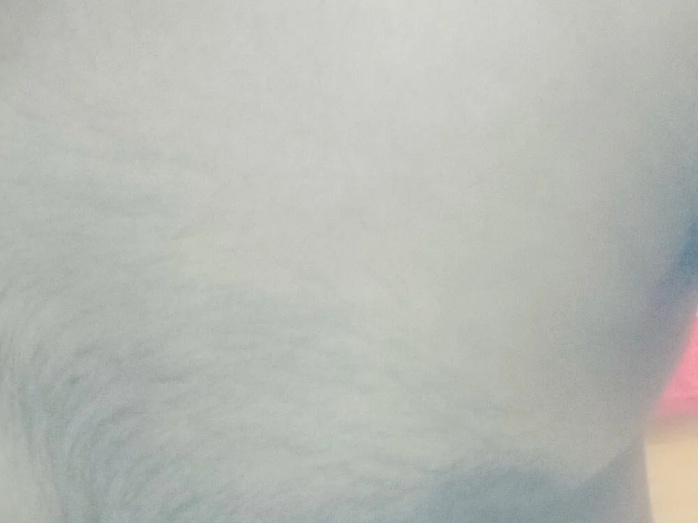 sham_112 離線 XXX 聊天