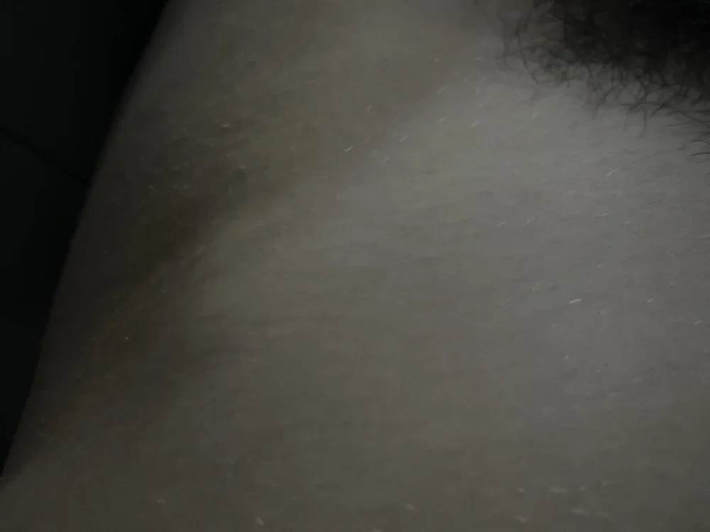 jeunebreizh – Offline XXX chat