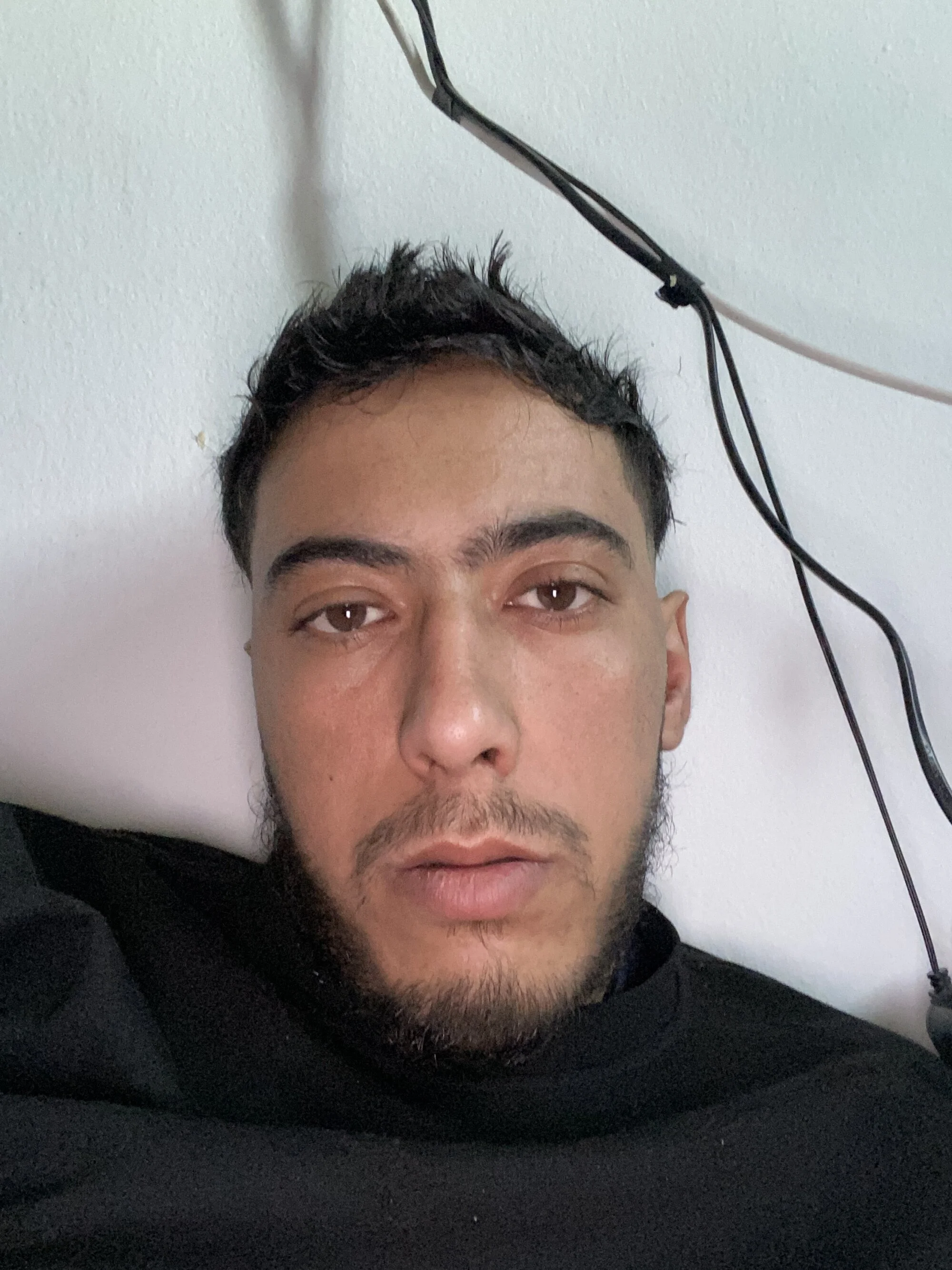 Dadysexchauds