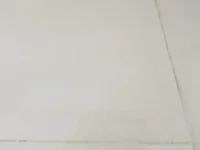 Xmanester95