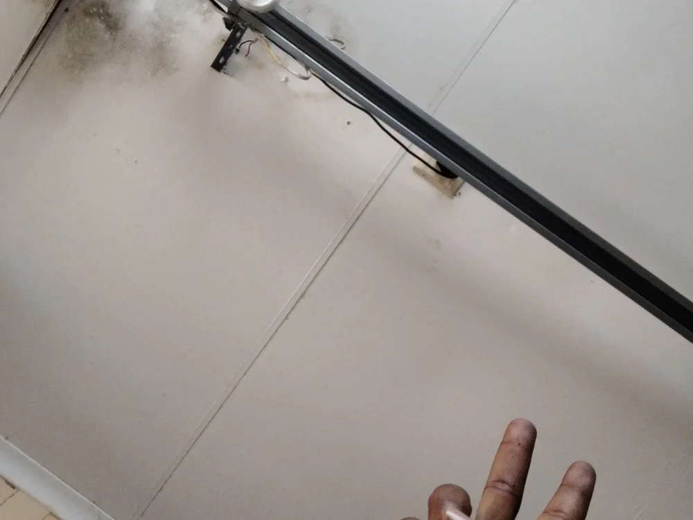 BigDicktaton Offline XXX chat