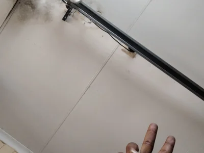 BigDicktato