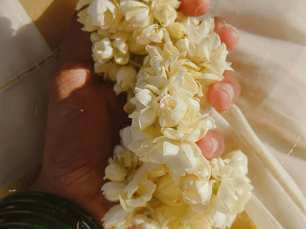 ImportantFastener75 离线XXX聊天